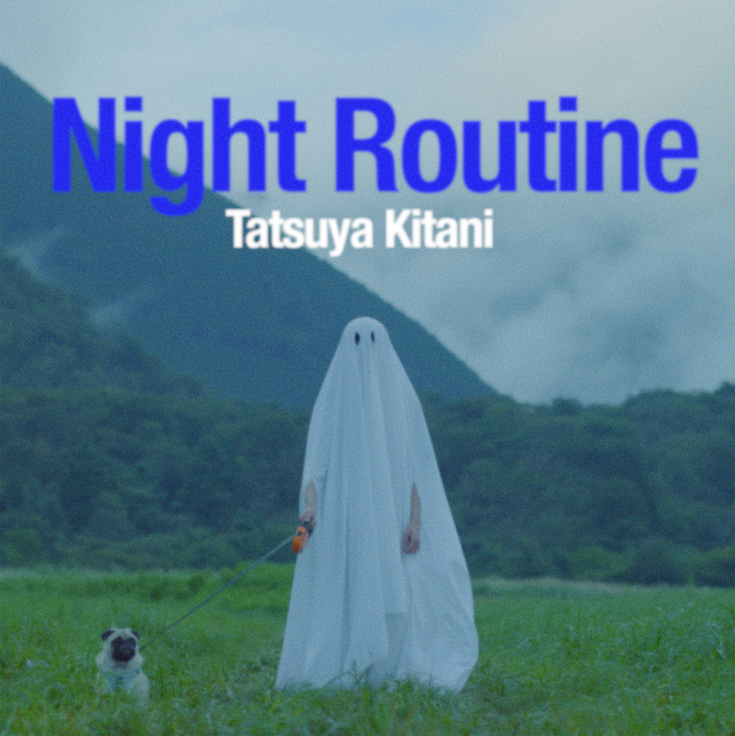 [DIGITAL] Tatsuya Kitani /Night Routine (封面)